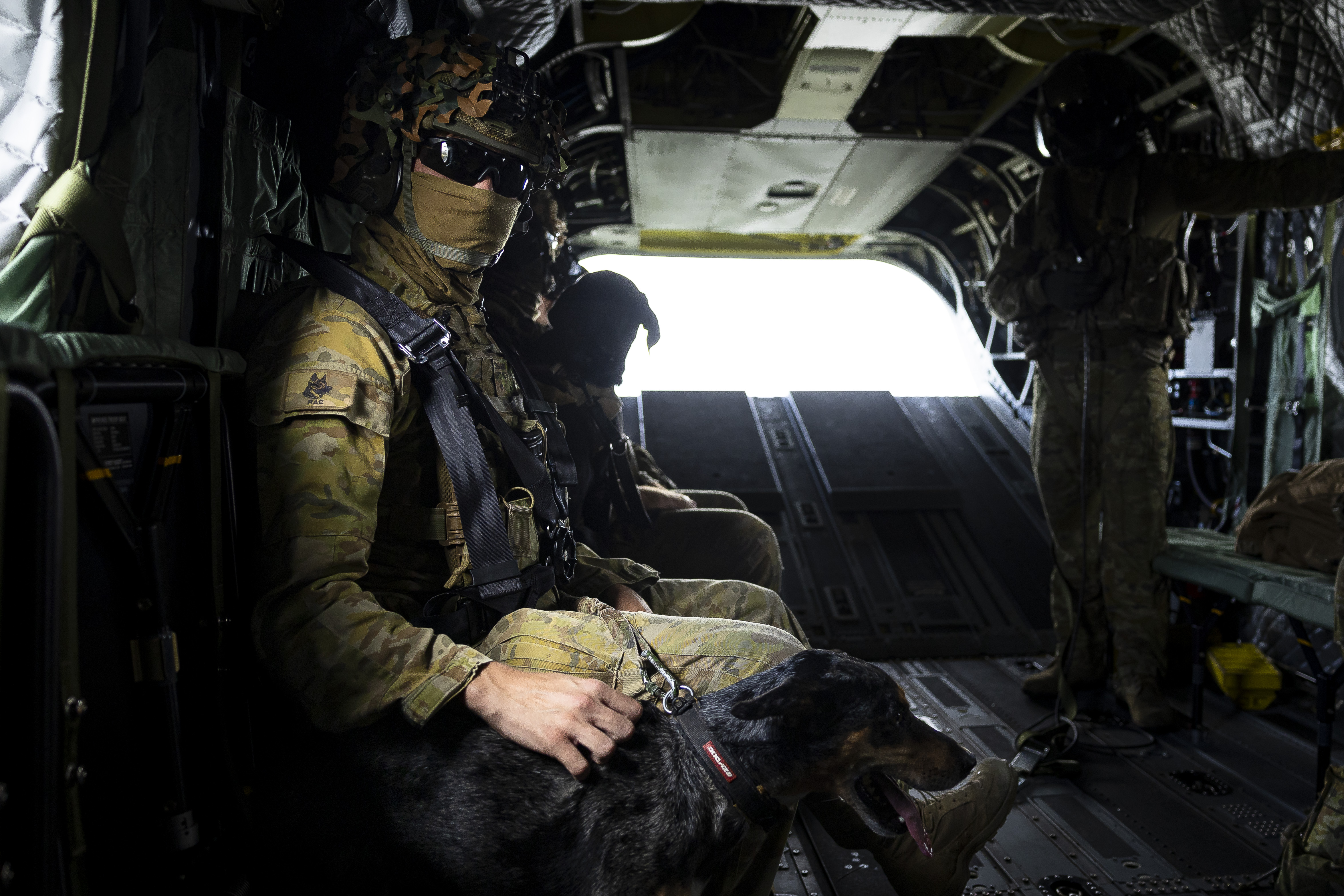 ADF member seated inside a military aircraft